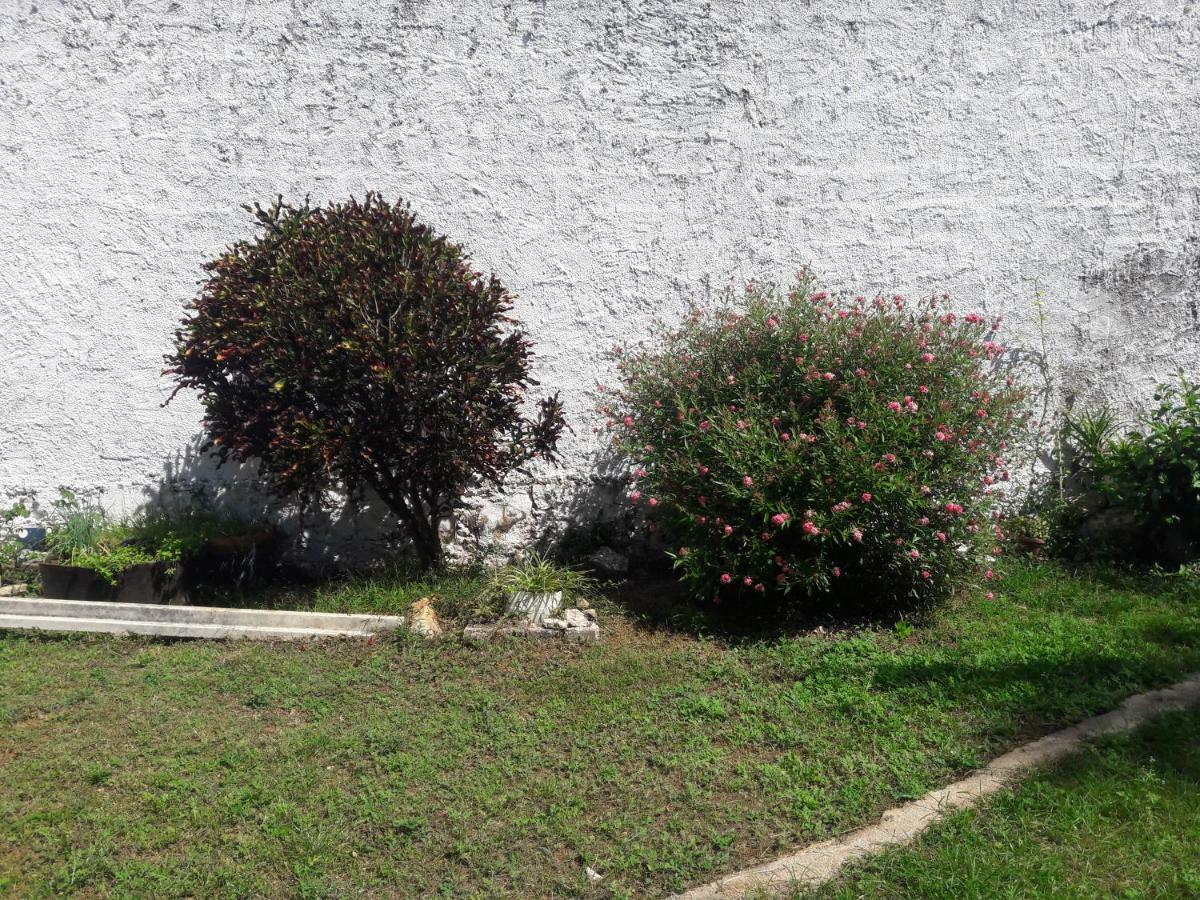 Chichén-Itzá Hostal Y Temazcal Guemez المظهر الخارجي الصورة